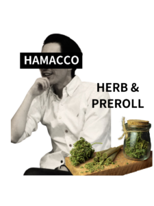 Picture of HAMACCO herb and preroll